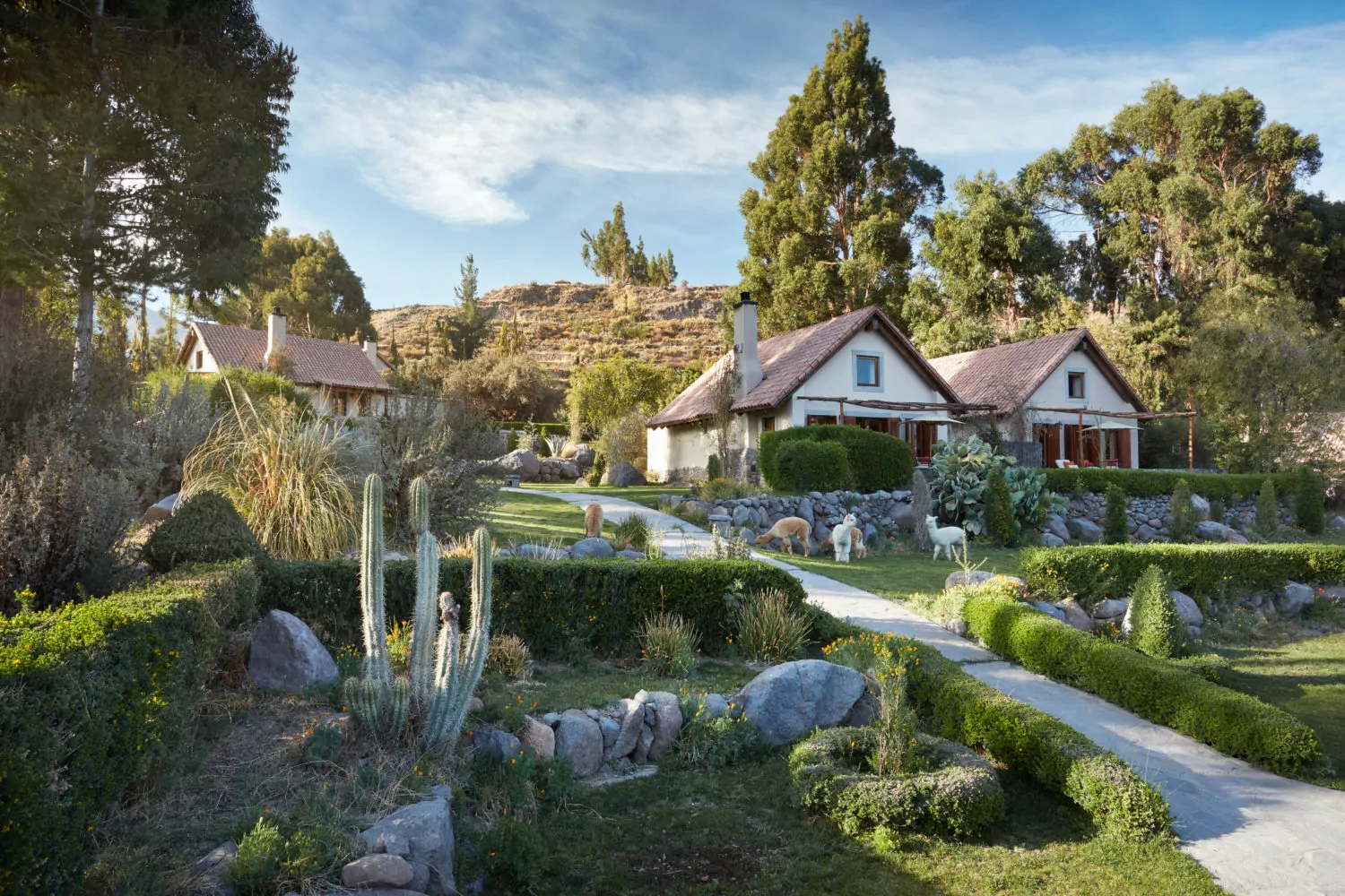 Las Casitas Valley View Casita