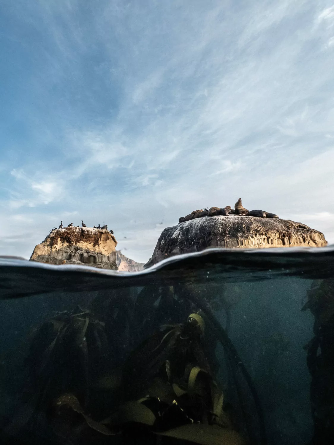 Belmond Marine Biologist Experience-24.jpg