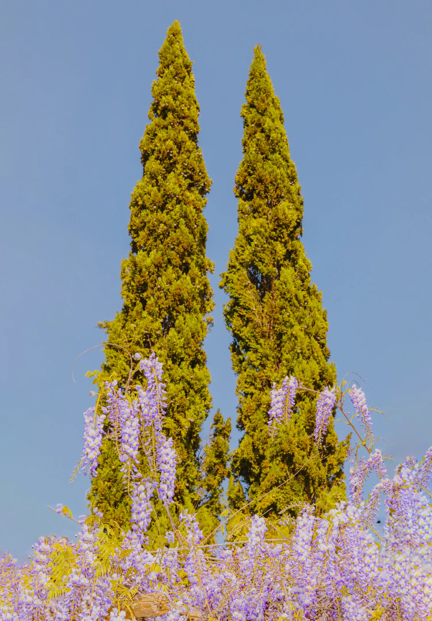 Belmond Legends; Caruso, A Belmond Hotel, Amalfi Coast; as seen by Letizia Le Fur