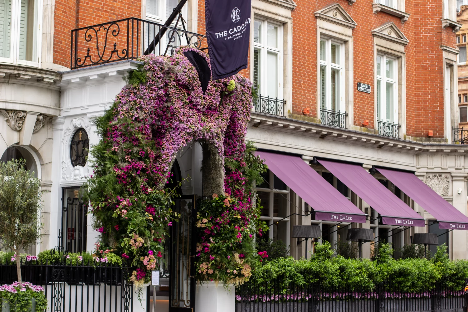 Chelsea-In-Bloom-2025-That-Jacket-1