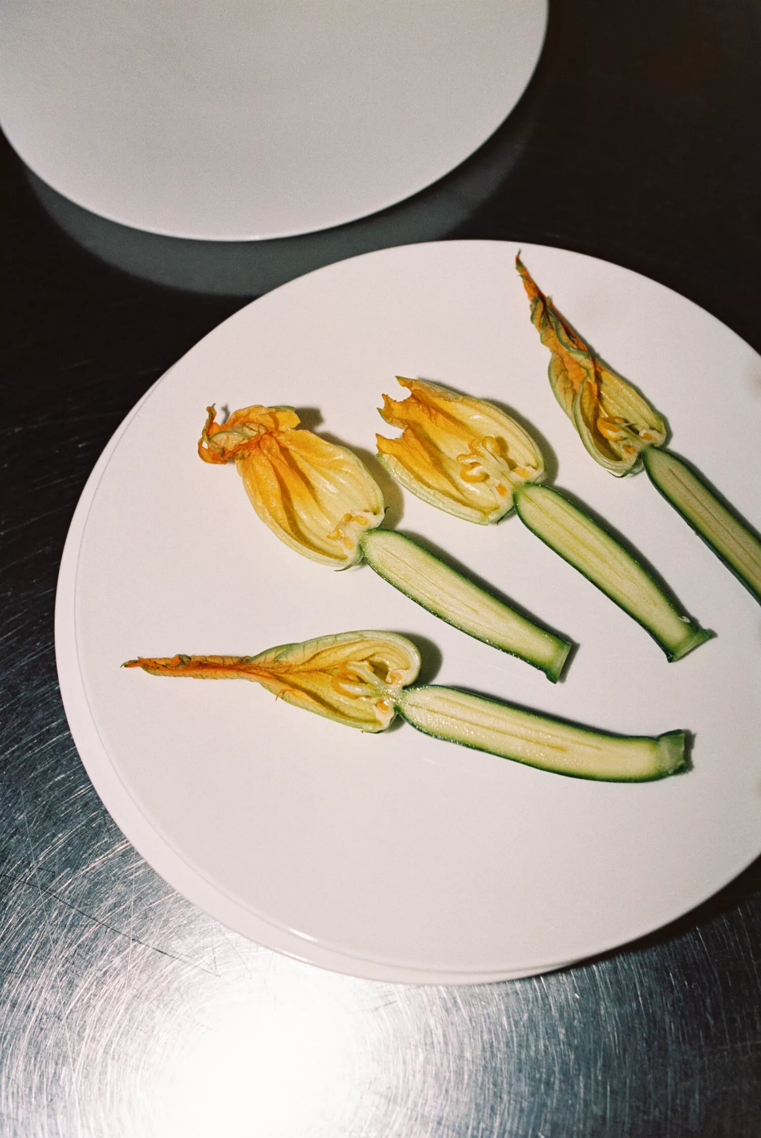 Spring-Dishes-2025-CAD-1